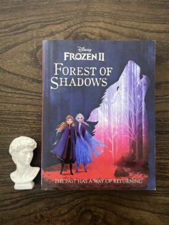 Alternative view of Disney Frozen 2: Forest of Shadows