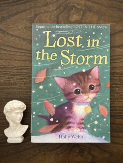 Alternative view of Lost in the Storm