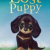 The Lost Puppy