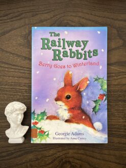 Alternative view of The Railway Rabbits: Berry Goes to Winterland