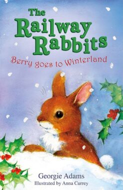 The Railway Rabbits: Berry Goes to Winterland