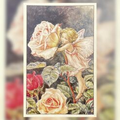 The Rose Fairy | 1920s Flower Fairies Postcard