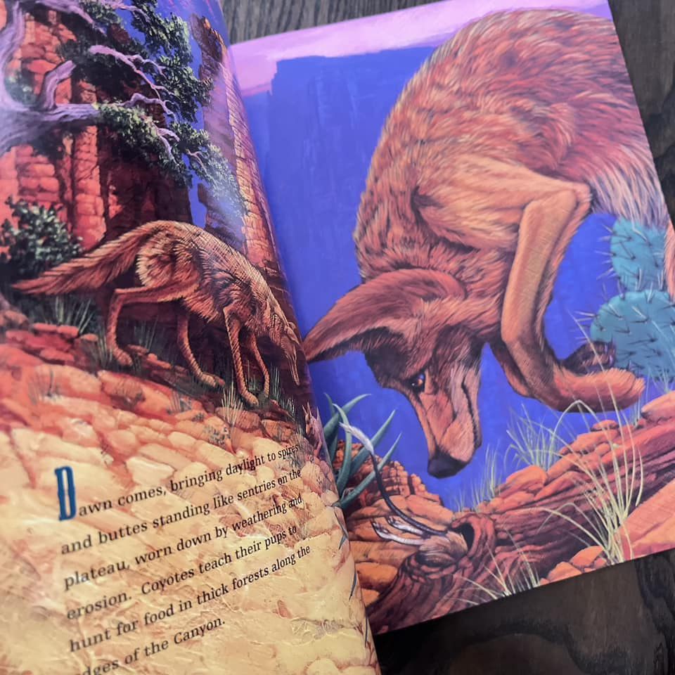 Grand Canyon: A Trail Through Time - Image 3