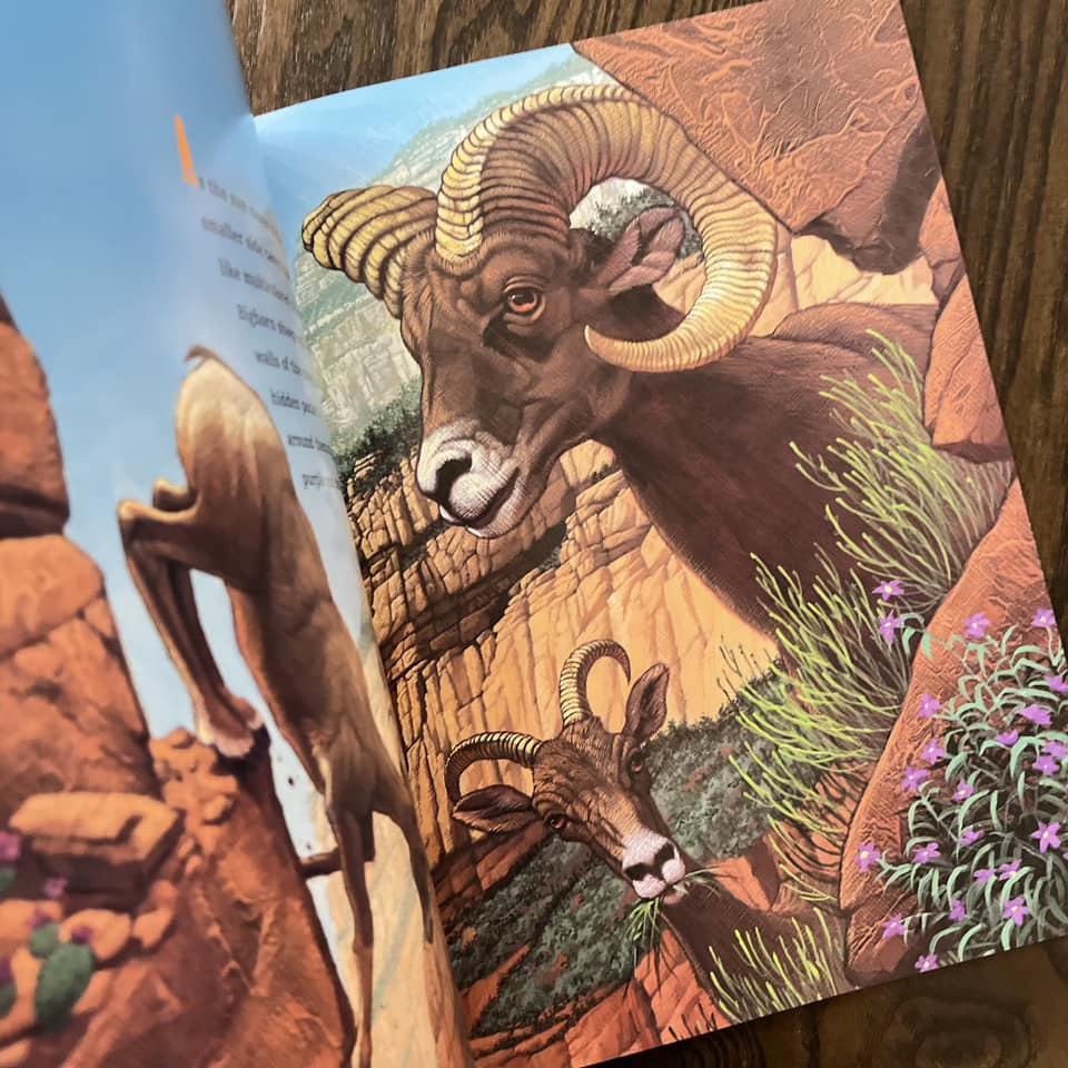 Grand Canyon: A Trail Through Time - Image 6