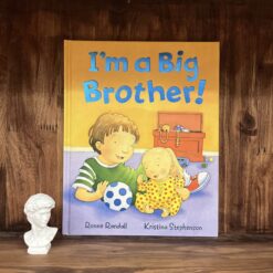 Alternative view of I'm a Big Brother