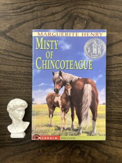 Alternative view of Misty of Chincoteague