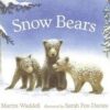 Snow Bears