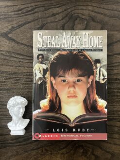 Alternative view of Steal Away Home