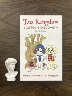 Alternative view of Tzu Kingdom: Stanley's Discovery (Book One)