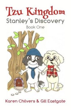Tzu Kingdom: Stanley's Discovery (Book One)