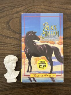 Alternative view of The Black Stallion